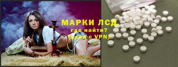 прущие грибы Алексин