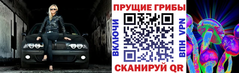 Псилоцибиновые грибы мухоморы  продажа наркотиков  Ессентуки 