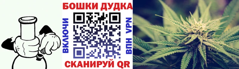 Бошки Шишки план  Ессентуки 